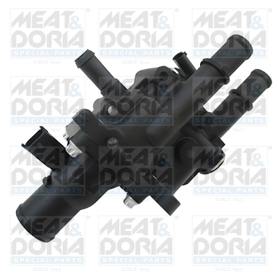 Thermostat, coolant